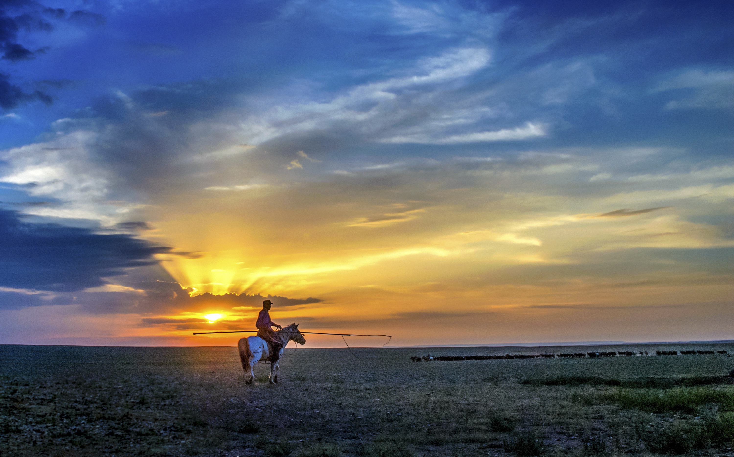 Horse back in the sunset